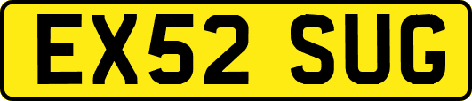 EX52SUG