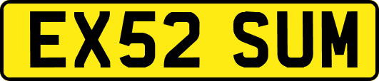 EX52SUM