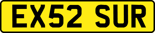 EX52SUR
