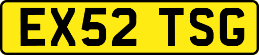 EX52TSG