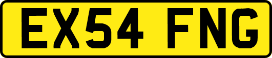 EX54FNG