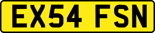 EX54FSN