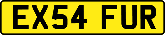 EX54FUR