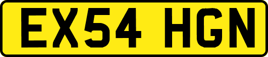 EX54HGN