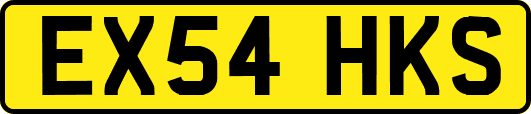 EX54HKS