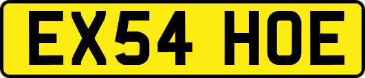 EX54HOE