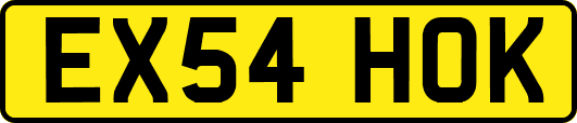 EX54HOK