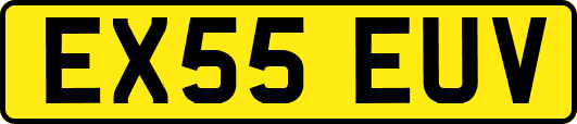 EX55EUV