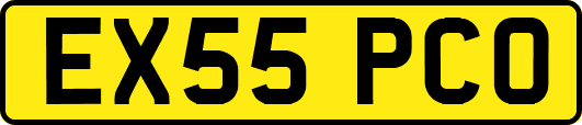 EX55PCO