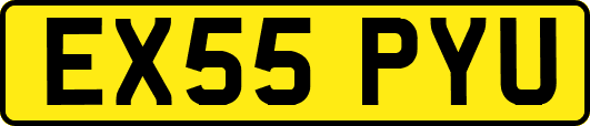 EX55PYU