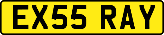 EX55RAY