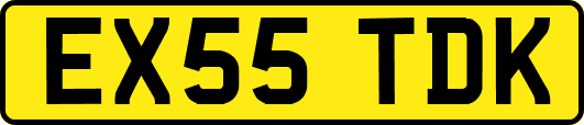 EX55TDK