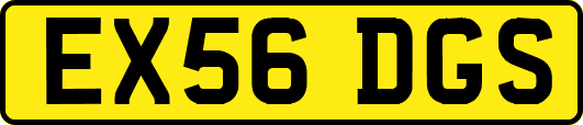 EX56DGS