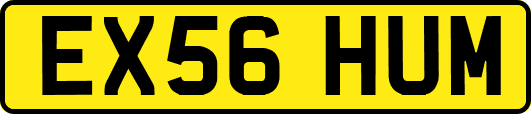 EX56HUM