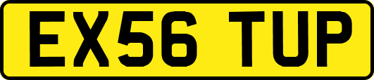 EX56TUP