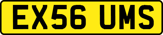 EX56UMS
