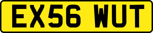 EX56WUT