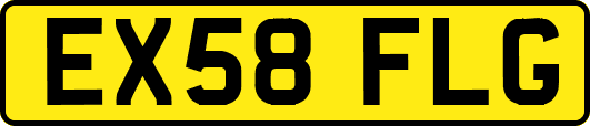 EX58FLG