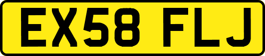 EX58FLJ