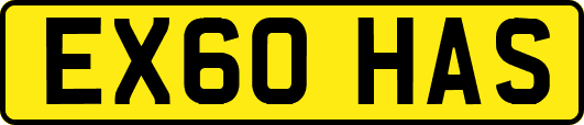 EX60HAS