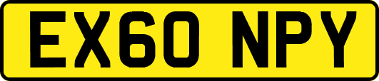 EX60NPY