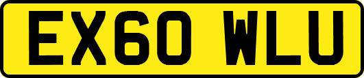 EX60WLU