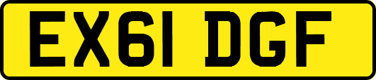 EX61DGF