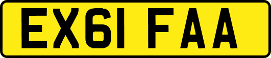 EX61FAA