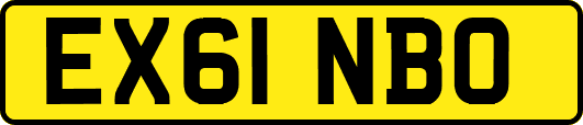 EX61NBO