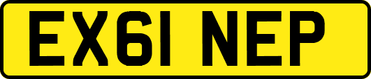 EX61NEP