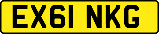 EX61NKG