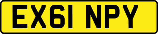 EX61NPY