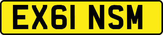 EX61NSM