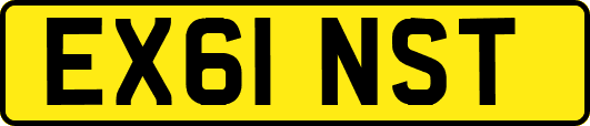 EX61NST