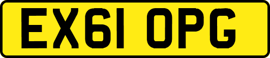 EX61OPG