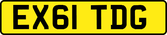EX61TDG
