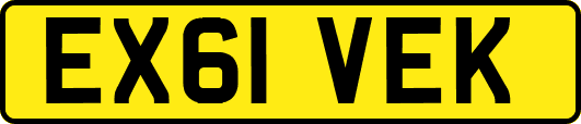 EX61VEK