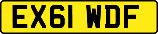 EX61WDF