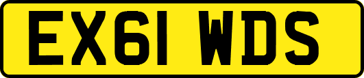 EX61WDS