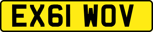 EX61WOV