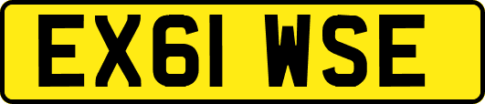 EX61WSE