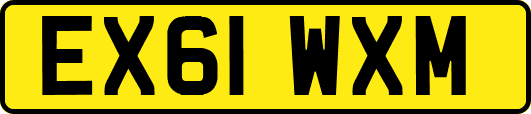 EX61WXM