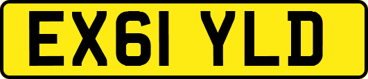 EX61YLD