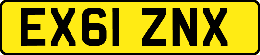 EX61ZNX