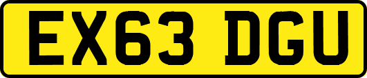 EX63DGU