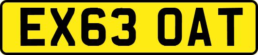 EX63OAT