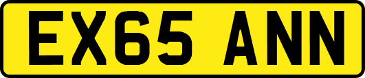 EX65ANN
