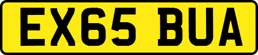 EX65BUA