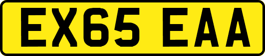 EX65EAA