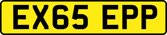 EX65EPP